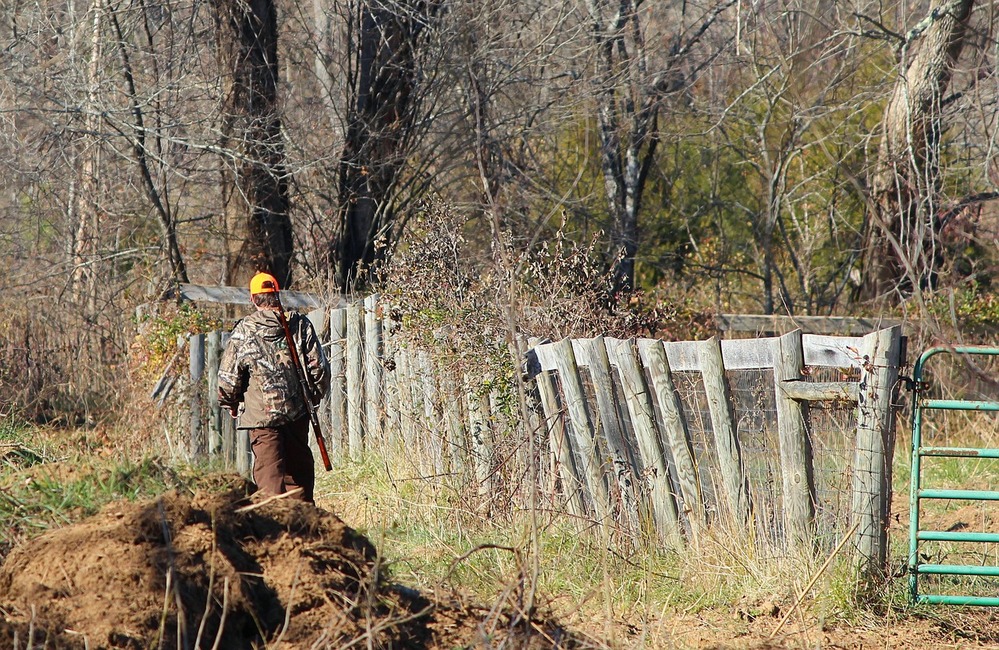 Délivrance des permis & vignettes de chasse